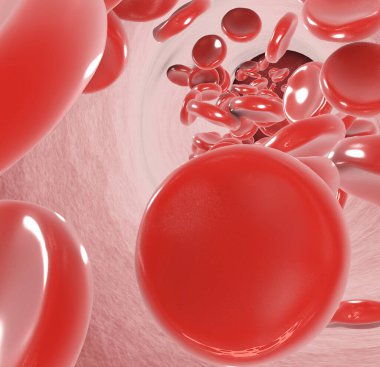 Red blood cells inside blood vessel, erythrocytes. 3D illustration