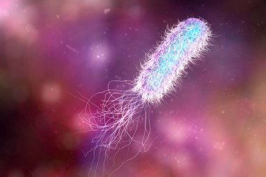 Bacterium Pseudomonas aeruginosa on colorful background, antibiotic-resistant nosocomial bacterium, 3D illustration. Illustration shows polar location of flagella and presence of pili on the bacterial surface