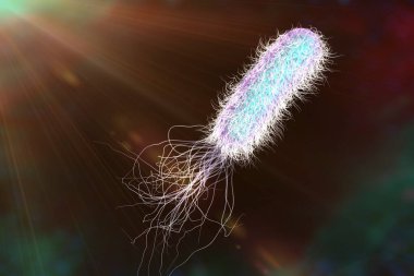 Bacterium Pseudomonas aeruginosa on colorful background, antibiotic-resistant nosocomial bacterium, 3D illustration. Illustration shows polar location of flagella and presence of pili on the bacterial surface
