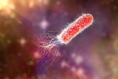 Bacterium Pseudomonas aeruginosa on colorful background, antibiotic-resistant nosocomial bacterium, 3D illustration. Illustration shows polar location of flagella and presence of pili on the bacterial surface