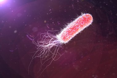 Bacterium Pseudomonas aeruginosa on colorful background, antibiotic-resistant nosocomial bacterium, 3D illustration. Illustration shows polar location of flagella and presence of pili on the bacterial surface
