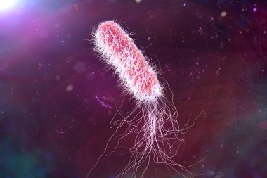 Bacterium Pseudomonas aeruginosa on colorful background, antibiotic-resistant nosocomial bacterium, 3D illustration. Illustration shows polar location of flagella and presence of pili on the bacterial surface