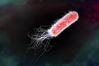 Bacterium Pseudomonas aeruginosa on colorful background, antibiotic-resistant nosocomial bacterium, 3D illustration. Illustration shows polar location of flagella and presence of pili on the bacterial surface