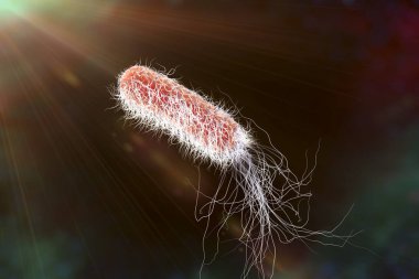 Bacterium Pseudomonas aeruginosa on colorful background, antibiotic-resistant nosocomial bacterium, 3D illustration. Illustration shows polar location of flagella and presence of pili on the bacterial surface