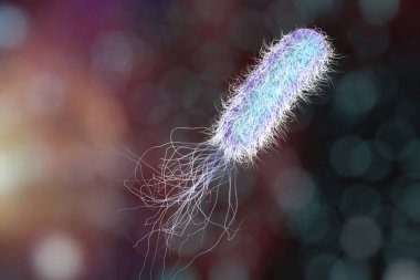 Bacterium Pseudomonas aeruginosa on colorful background, antibiotic-resistant nosocomial bacterium, 3D illustration. Illustration shows polar location of flagella and presence of pili on the bacterial surface