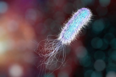 Bacterium Pseudomonas aeruginosa on colorful background, antibiotic-resistant nosocomial bacterium, 3D illustration. Illustration shows polar location of flagella and presence of pili on the bacterial surface clipart