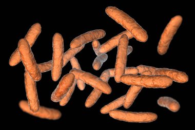 Probiotic bacteria, normal intestinal microbiota, 3D illustration. Bacteria used as probiotic treatment, yoghurts, healthy food