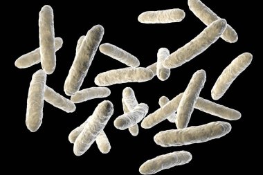 Probiotic bacteria, normal intestinal microflora, 3D illustration. Bacteria used as probiotic treatment, yoghurts, healthy food