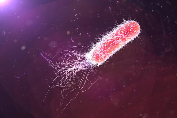 Bacterium Pseudomonas aeruginosa on colorful background, antibiotic-resistant nosocomial bacterium, 3D illustration. Illustration shows polar location of flagella and presence of pili on the bacterial surface