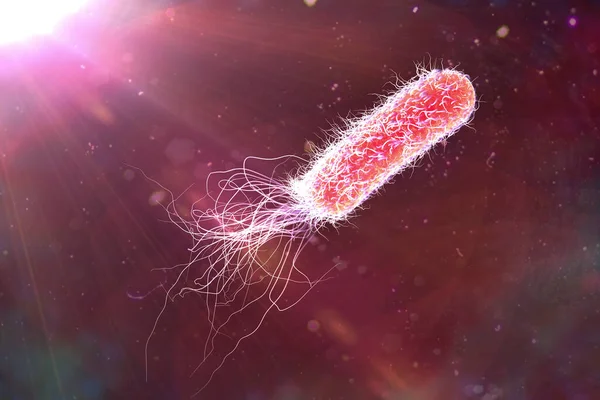 Bacterium Pseudomonas aeruginosa on colorful background, antibiotic-resistant nosocomial bacterium, 3D illustration. Illustration shows polar location of flagella and presence of pili on the bacterial surface