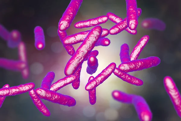 Probiotické Bakterie Normální Střevní Mikroflóra Ilustrace Bakterie Používané Jako Probiotická — Stock fotografie