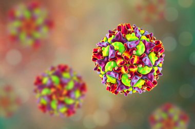 Poliovirüs, Picornaviridae familyasından çocuk felci hastalığına neden olan bir RNA virüsü, 3 boyutlu illüstrasyon