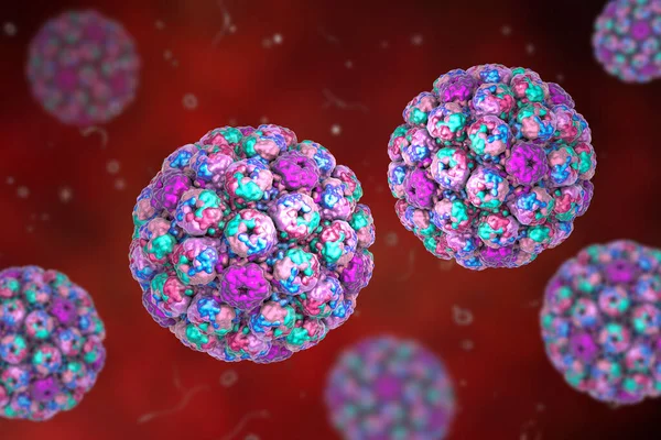 Polyomavirus, DNA virus, Papovaviridae family, 3D illustration. Many of them are asymptomatic but some cause cancer, such as Merkel cell polyomavirus, leukoencephalopathy, haemorrhagic cystitis