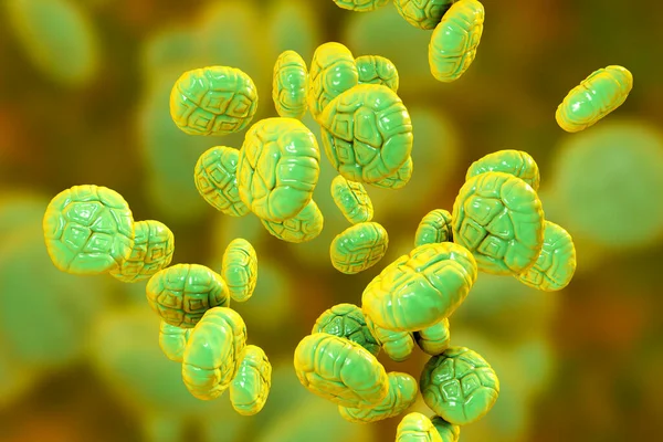 Mimosa Pollen Close View Illustration Pollen Factor Causing Hay Fever — Stock Photo, Image