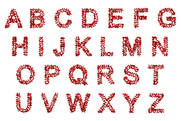 白い背景に独特の二面性と質感のある表面を特徴とする赤血球で構成された英語のアルファベット 3Dイラスト — ストック写真