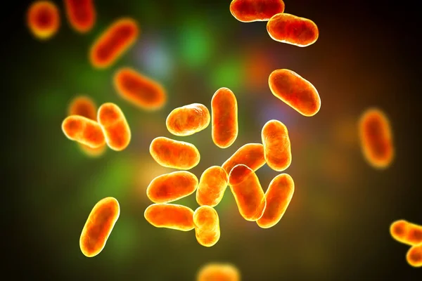 Prevotella Bakterisi Boyutlu Illüstrasyon Gram Negatif Anaerobik Bakteri Oral Flora — Stok fotoğraf