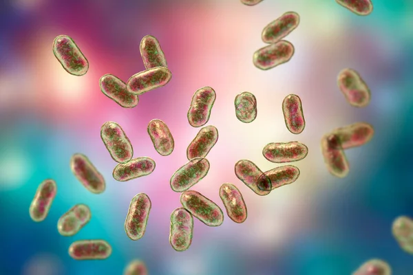 Prevotella Bacterie Illustratie Gram Negatieve Anaërobe Bacteriën Leden Van Orale — Stockfoto