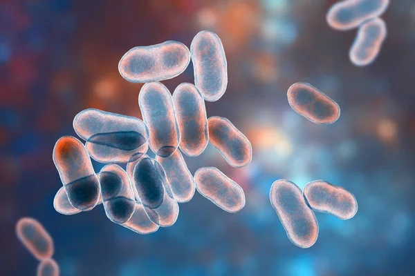 Bakterie Prevotella Ilustracja Gram Ujemne Bakterie Beztlenowe Członkowie Flory Jamy — Zdjęcie stockowe
