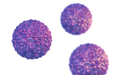 Pegivirus beyaz arka planda izole edilmiş, daha önce Hepatit G virüsü olarak adlandırılan, 3 boyutlu illüstrasyon. Hepatite neden olan Flaviridae familyasından bir RNA virüsü.