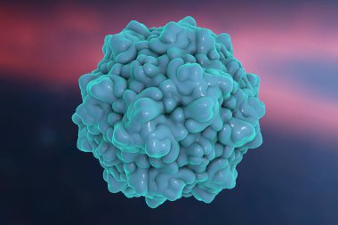 Renkli arka planda Parvovirüs B19, anemiye neden olan bir virüs, beşinci hastalık veya eritem enfeksiyonu adı verilen çocukluk isiliği, 3 boyutlu illüstrasyon