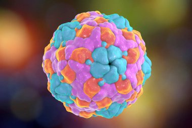 Renkli arka planda insan parechovirüsü, 3 boyutlu illüstrasyon. Parekovirüsler solunum ve gastrointestinal enfeksiyonlara neden olur, bunlar beyin hasarı ve yenidoğan bebeklerdeki gelişimsel bozukluklarla ilişkilidir.