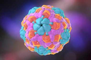 Renkli arka planda insan parechovirüsü, 3 boyutlu illüstrasyon. Parekovirüsler solunum ve gastrointestinal enfeksiyonlara neden olur, bunlar beyin hasarı ve yenidoğan bebeklerdeki gelişimsel bozukluklarla ilişkilidir.