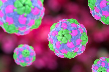 Renkli arka planda insan parechovirüsü, 3 boyutlu illüstrasyon. Parekovirüsler solunum ve gastrointestinal enfeksiyonlara neden olur, bunlar beyin hasarı ve yenidoğan bebeklerdeki gelişimsel bozukluklarla ilişkilidir.