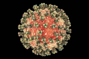 Parainfluenza virüsü siyah arka planda izole edilmiş, 3 boyutlu illüstrasyon. Genel soğuk algınlığı virüsü. Paramyxovirüs. Görüntü, parainfluenza virüsünün yüzey glikoprotein artışlı yapısını gösteriyor.