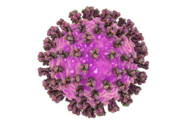 Parainfluenza virüsü beyaz arka planda izole edilmiş, 3 boyutlu illüstrasyon. Genel soğuk algınlığı virüsü. Paramyxovirüs. Görüntü, parainfluenza virüsünün yüzey glikoprotein artışlı yapısını gösteriyor.
