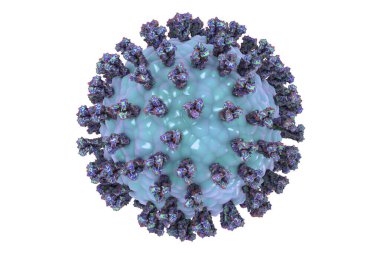 Parainfluenza virüsü beyaz arka planda izole edilmiş, 3 boyutlu illüstrasyon. Genel soğuk algınlığı virüsü. Paramyxovirüs. Görüntü, parainfluenza virüsünün yüzey glikoprotein artışlı yapısını gösteriyor.