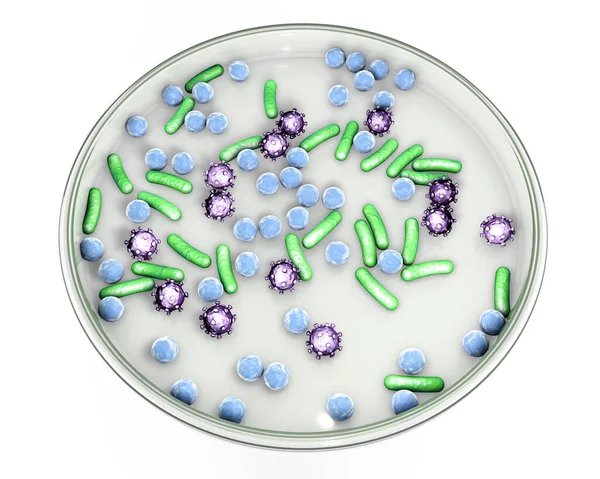 Чашка Петрі Мікробами Різних Форм Концепція Лабораторного Діагнозу Інфекцій Ілюстрація — стокове фото