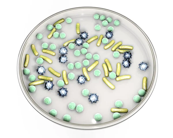 Πιάτο Petri Μικρόβια Διαφόρων Σχημάτων Έννοια Για Εργαστηριακή Διάγνωση Λοιμώξεων — Φωτογραφία Αρχείου