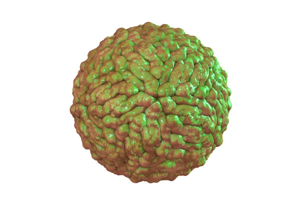 Pegivirus Isolato Sfondo Bianco Formalmente Chiamato Virus Dell Epatite Illustrazione — Foto Stock