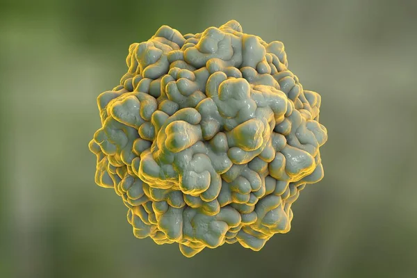 Parvovirus B19 Barevném Pozadí Virus Který Způsobuje Anémii Dětskou Vyrážku — Stock fotografie