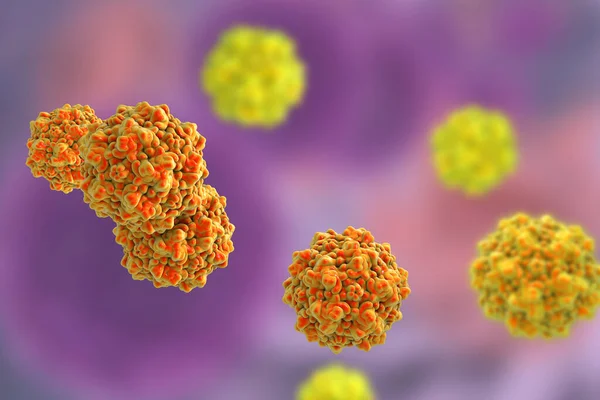 Parwowirus B19 Kolorowym Tle Wirus Który Powoduje Niedokrwistość Wysypka Dzieciństwa — Zdjęcie stockowe