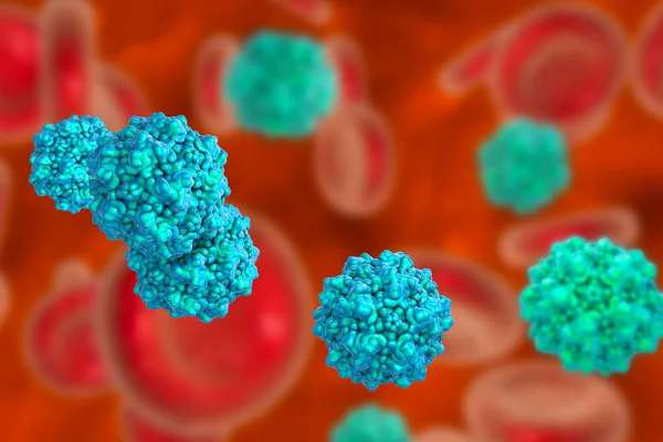 Kandaki Parvovirüsler Anemiye Neden Olan Virüsler Beşinci Hastalık Veya Eritem — Stok fotoğraf