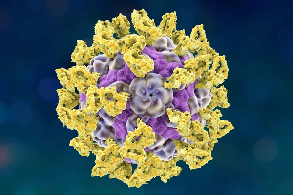 Parechovirus Con Moléculas Integrina Unidas Que Sirven Como Receptores Celulares — Foto de Stock