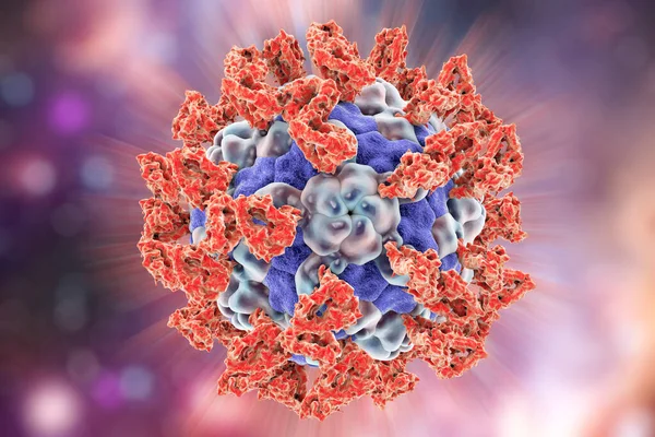 Parechovirus with attached integrin molecules which serve as cell receptors, 3D illustration