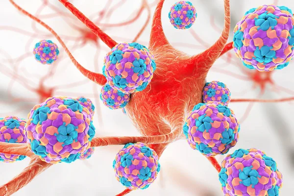 Human Parechovirus Affecting Neuron Illustration Les Paréchovirus Causent Des Infections — Photo