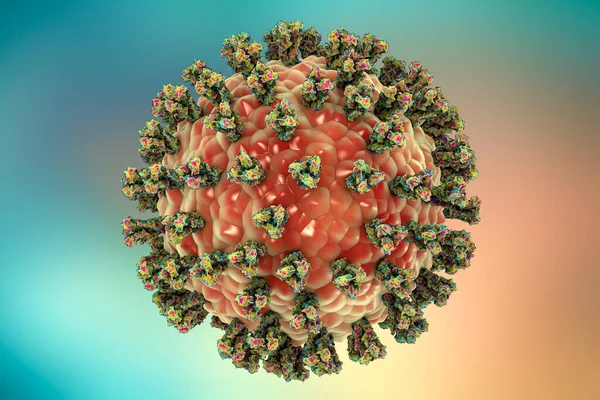 Parainfluenza virus, 3D illustration. Common cold virus. Paramyxovirus. Illustration shows structure of parainfluenza virus with surface glycoprotein spikes