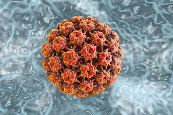 Papilomavírus Humano Superfície Pele Membrana Mucosa Vírus Que Causa Verrugas — Fotografia de Stock