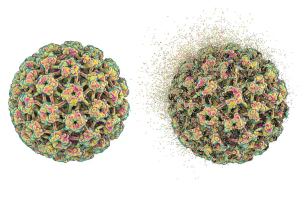 Distruzione Papillomavirus Umano Hpv Isolato Sfondo Bianco Illustrazione Concetto Trattamento — Foto Stock