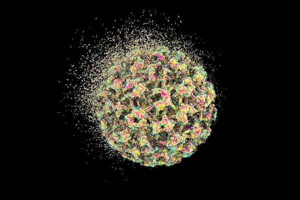 Zerstörung Des Humanen Papillomavirus Hpv Isoliert Auf Schwarzem Hintergrund Illustration — Stockfoto