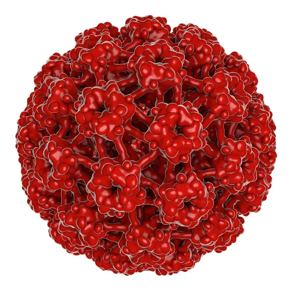 Virus Del Papiloma Humano Aislado Sobre Fondo Blanco Ilustración Virus — Foto de Stock