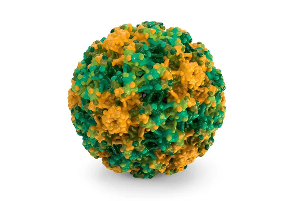 Papillomavirus Umano Virus Che Provoca Verruche Situate Principalmente Mani Piedi — Foto Stock