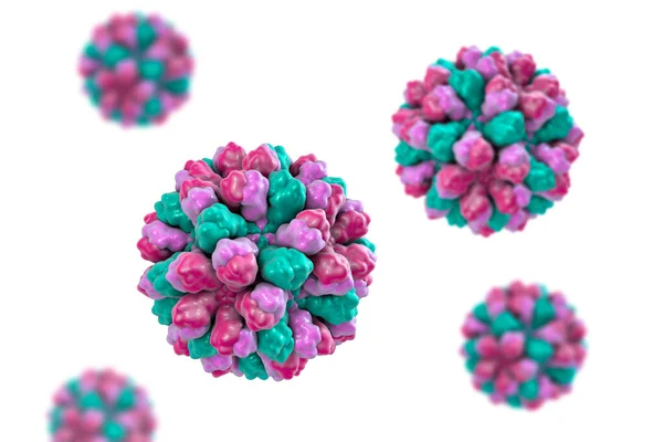 ノロウイルス ノロウイルス 冬の嘔吐バグ Caliciviridae家族からのRnaウイルス 胃の痛みを特徴とする胃腸炎の原因物質と呼ばれる 3Dイラスト — ストック写真