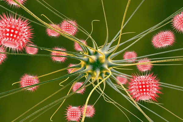 Viral Ensefalit Virüslerle Enfekte Olmuş Beyin Hücresi Boyutlu Illüstrasyon — Stok fotoğraf