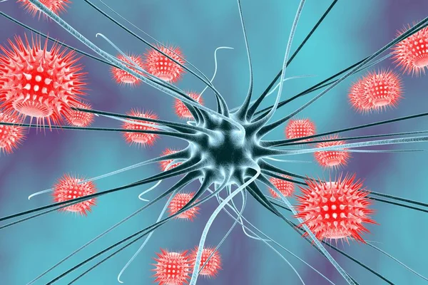 Viral Encephalitis Brain Cell Infected Viruses Illustration — Stock Photo, Image