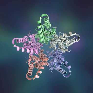 Bestrophin-1 (En İyi 1) proteininin moleküler modeli, 3 boyutlu illüstrasyon. Hücrelerdeki kalsiyum sinyallerini düzenleyen bir protein. Best1 'in mutasyonu bir grup dejeneratif retinal hastalığa neden olur.