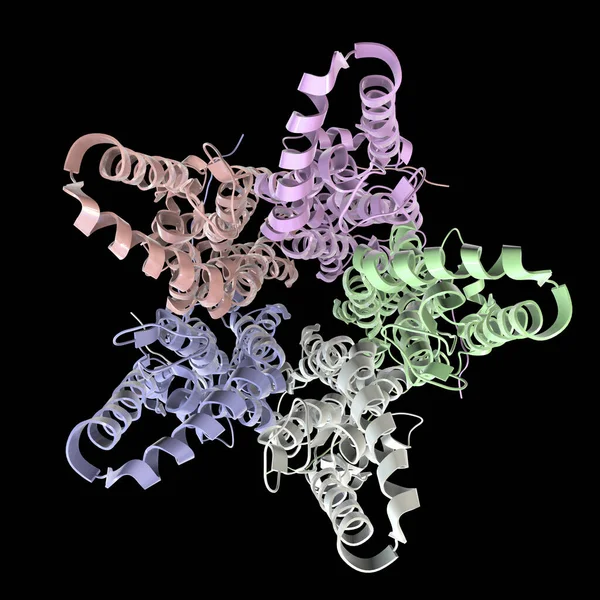 Bestrophin Proteininin Moleküler Modeli Boyutlu Illüstrasyon Hücrelerdeki Kalsiyum Sinyallerini Düzenleyen — Stok fotoğraf
